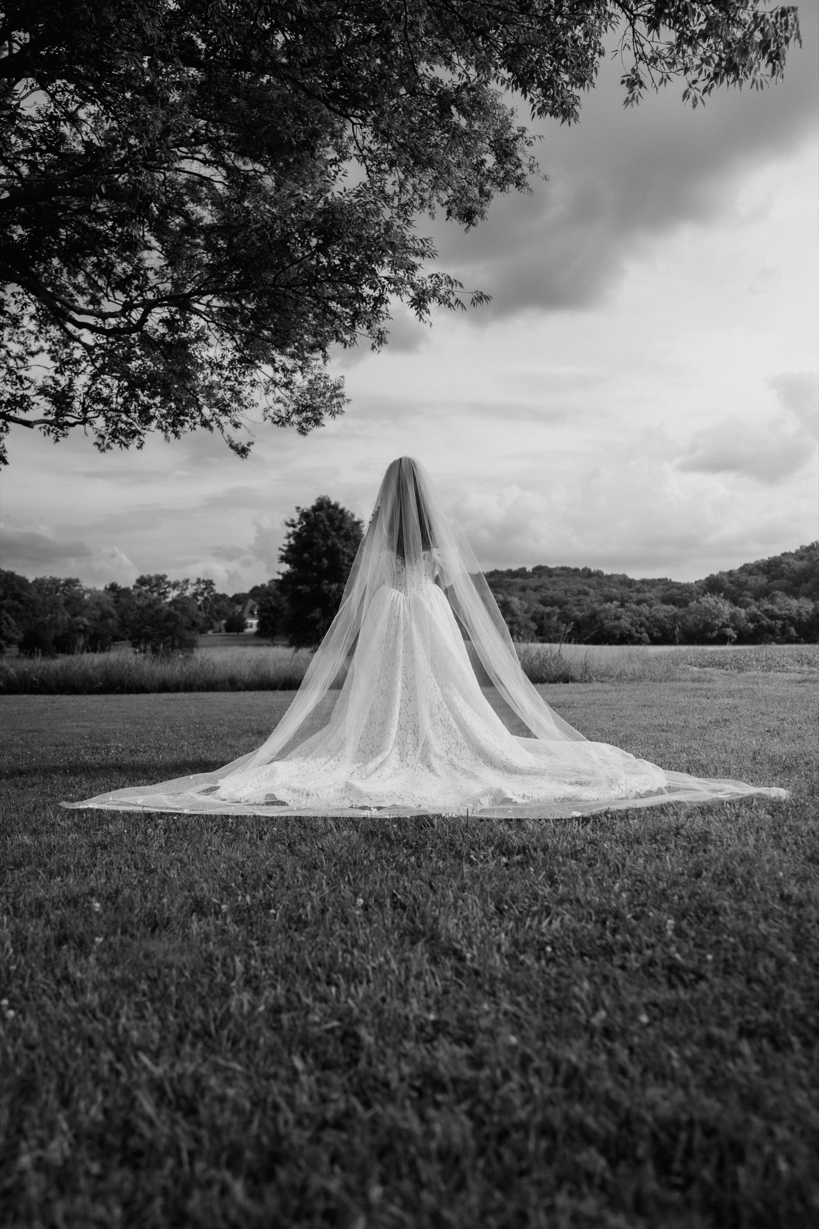 Presley’s veil laid out across the grass beneath the oak